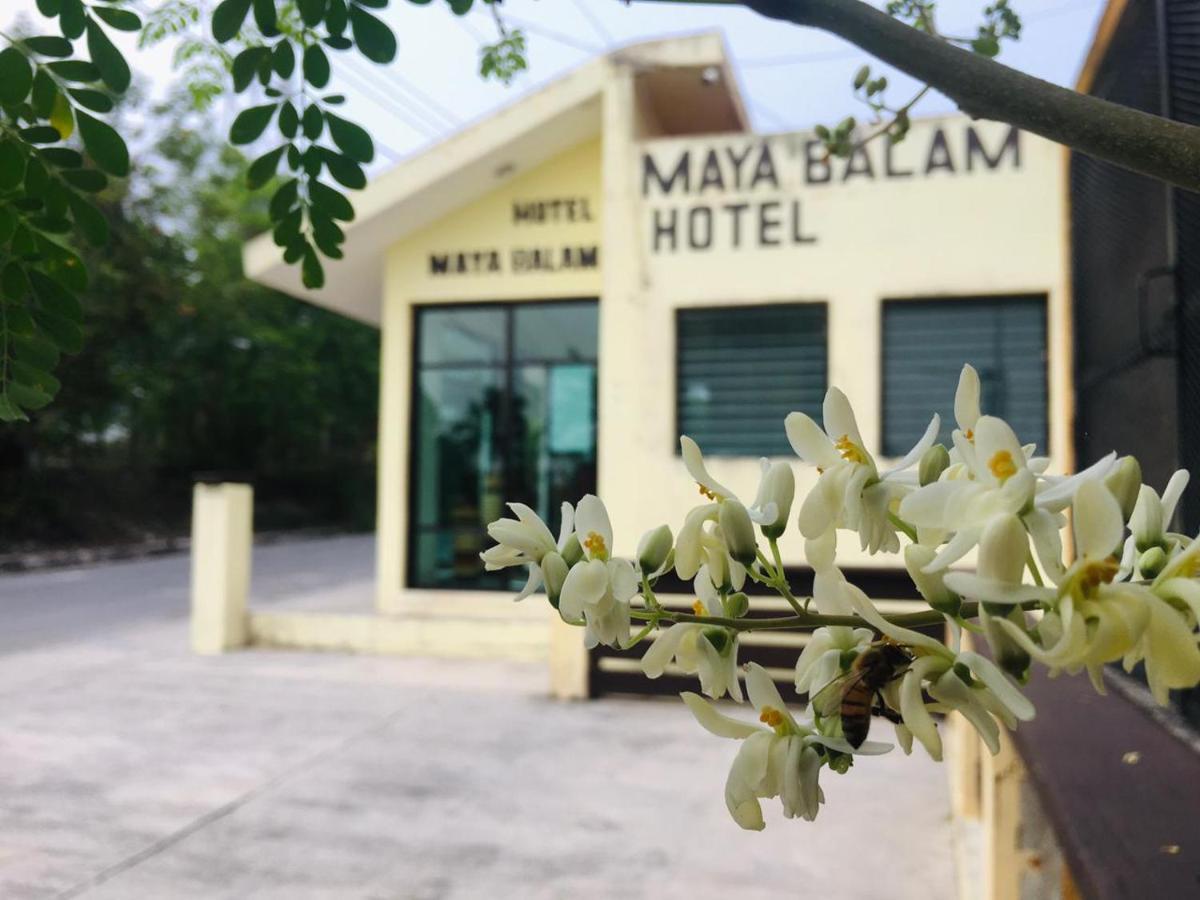 Hotel Maya Balam Xpujil Extérieur photo